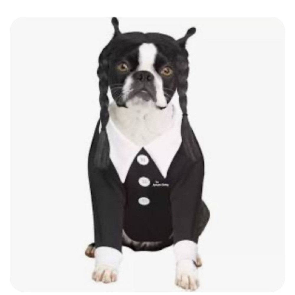 Spirit Black and White Pet Costume